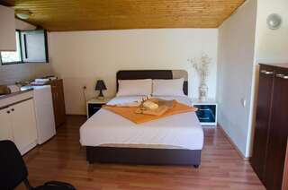 Апартаменты Studio-apartman Milena Подгорица Апартаменты-студио-16